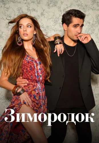 Зимородок 1-3 сезон 1-100, 101 серия турецкий сериал на русском языке онлайн смотреть бесплатно